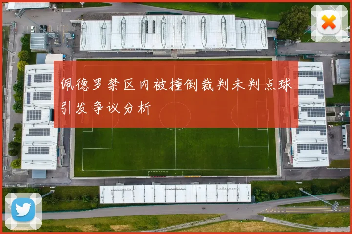 佩德罗禁区内被撞倒裁判未判点球引发争议分析